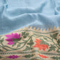 Bela Banarasi Handwoven Linen Chiffon Saree