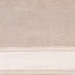 Zareen Silk Tissue Banarasi Handwoven Saree