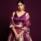 Madhosh Poppy Shahteer Banarasi Handwoven Plum Lehenga