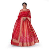 Madhosh Poppy Shahteer Banarasi Handwoven Red Lehenga