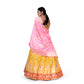 Gajraj Banarasi Handwoven Lehenga Yellow