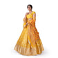 Miya Mithu Banarasi Handwoven Lehenga Yellow