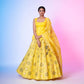 Rosettes Khinkhwab Banarasi Handwoven Lehenga Lime