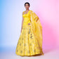 Rosettes Khinkhwab Banarasi Handwoven Lehenga Lime