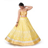 Chana Patti Banarasi Handwoven Lehenga Yellow