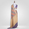 Rangkat Handwoven Banarasi Chiffon Saree