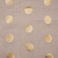 Boteh Beige Banarasi Handwoven Silk Net Saree