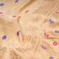 Ruhani Silk Tissue Banarasi Handwoven Saree