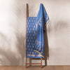Jugni Lichen Blue Banarasi Handwoven Cotton Suit Set