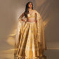 Mother Pearl Rangkat Banarasi Handwoven Lehenga Gold