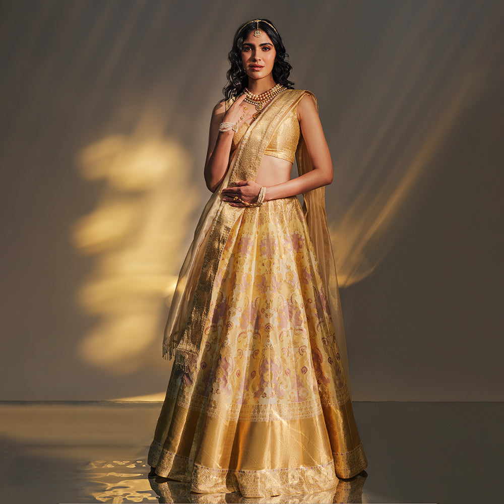 Mother Pearl Rangkat Banarasi Handwoven Lehenga Gold – The Warp 'n