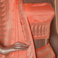 Paisley Buti Handwoven Banarasi Salmon Silk Saree
