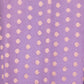 Guldavari Lavender Banarasi Handwoven Cotton Dupatta
