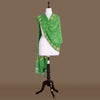 Khinkhwab Buti Green Banarasi Handwoven Chiffon Dupatta