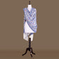 Resham Jaal White Banarasi Handwoven Chiffon Dupatta