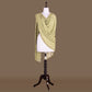 Resham Jaal Jade Banarasi Handwoven Chiffon Dupatta