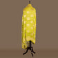 Floral Jaal Light Green Banarasi Handwoven Chiffon Dupatta