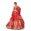 Haathi Daant Banarasi Handwoven Lehenga Red