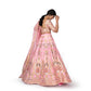 Haathi Daant Banarasi Handwoven Lehenga Baby Pink