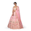 Haathi Daant Banarasi Handwoven Lehenga Baby Pink
