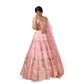 Haathi Daant Banarasi Handwoven Lehenga Baby Pink
