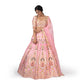 Haathi Daant Banarasi Handwoven Lehenga Baby Pink